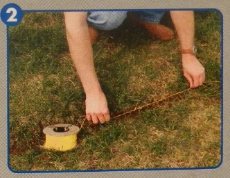 Limitador de Zona Exterior con Cable Petsafe